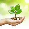 Alternative Solutions to the Banking Crisis - #SolutionsWatch