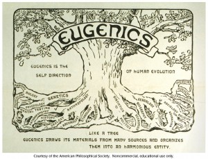 eugenictree