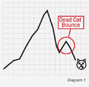 dead cat bounce