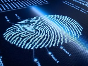 fingerprint