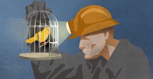 canary_coalmine