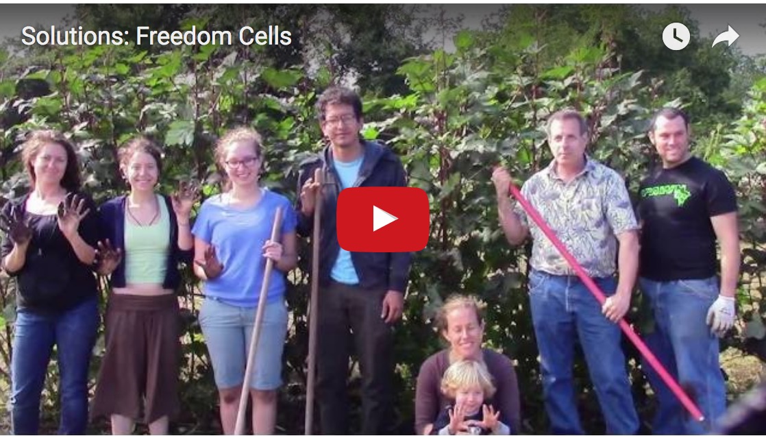 freedomcells